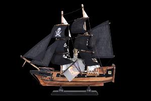 Detesk Švestka 40% 0,1l (dárkové balení plachetnice Černá perla)