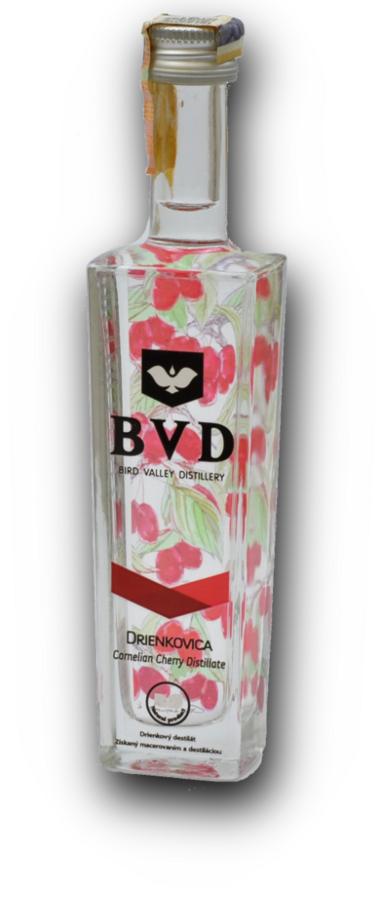 Mini BVD Drienkovica 45% 0,05l (holá láhev)