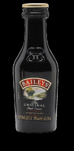 Mini Baileys 17% 0,05L (holá láhev)