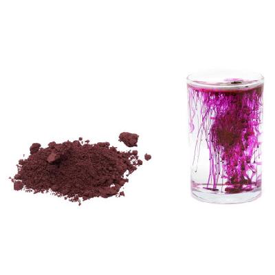 Prášková neonová barva růžová 5g